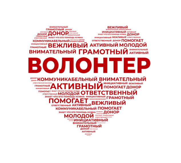 Международный День Добровольца.
